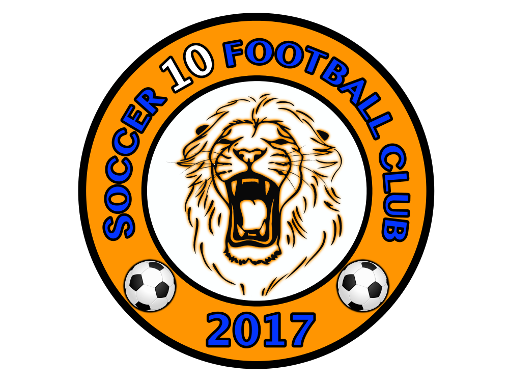 The Lions Soccer